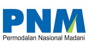 Logo PT. PNM