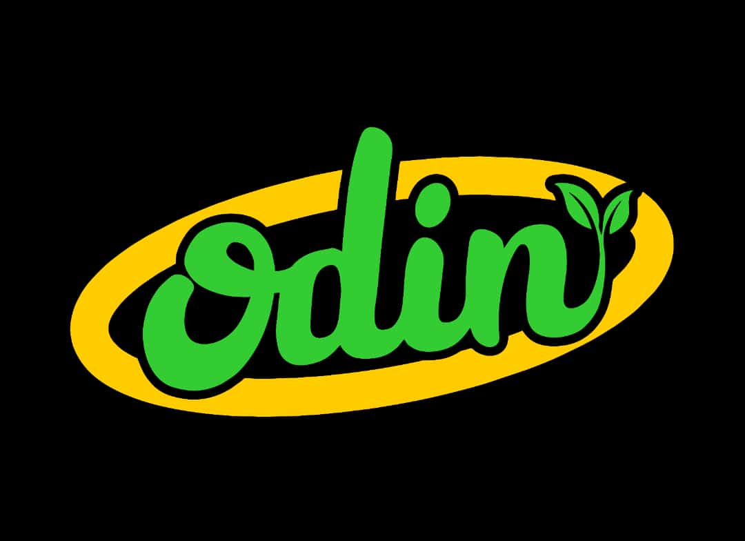 Logo PT ODIN SNACK NUSANTARA