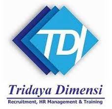 Logo PT. Tridaya Dimensi Indonesia