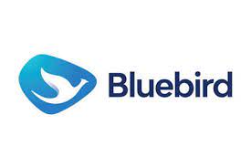 Logo Bluebird Pool Sutoyo