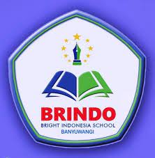 Logo BRINDO 