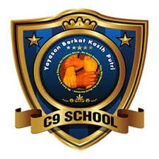 Logo C9 SCHOOL