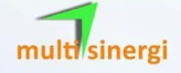 Logo CV MULTI SINERGI