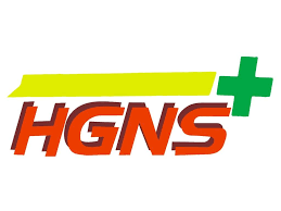 Logo HGNS