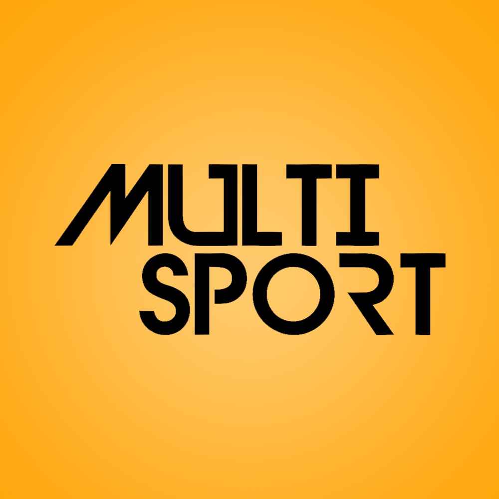 Logo Multi Sport