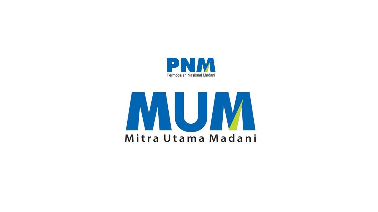 Logo PNM MEKAAR