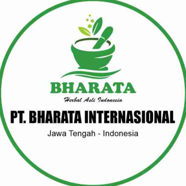 Logo PT Bharata International