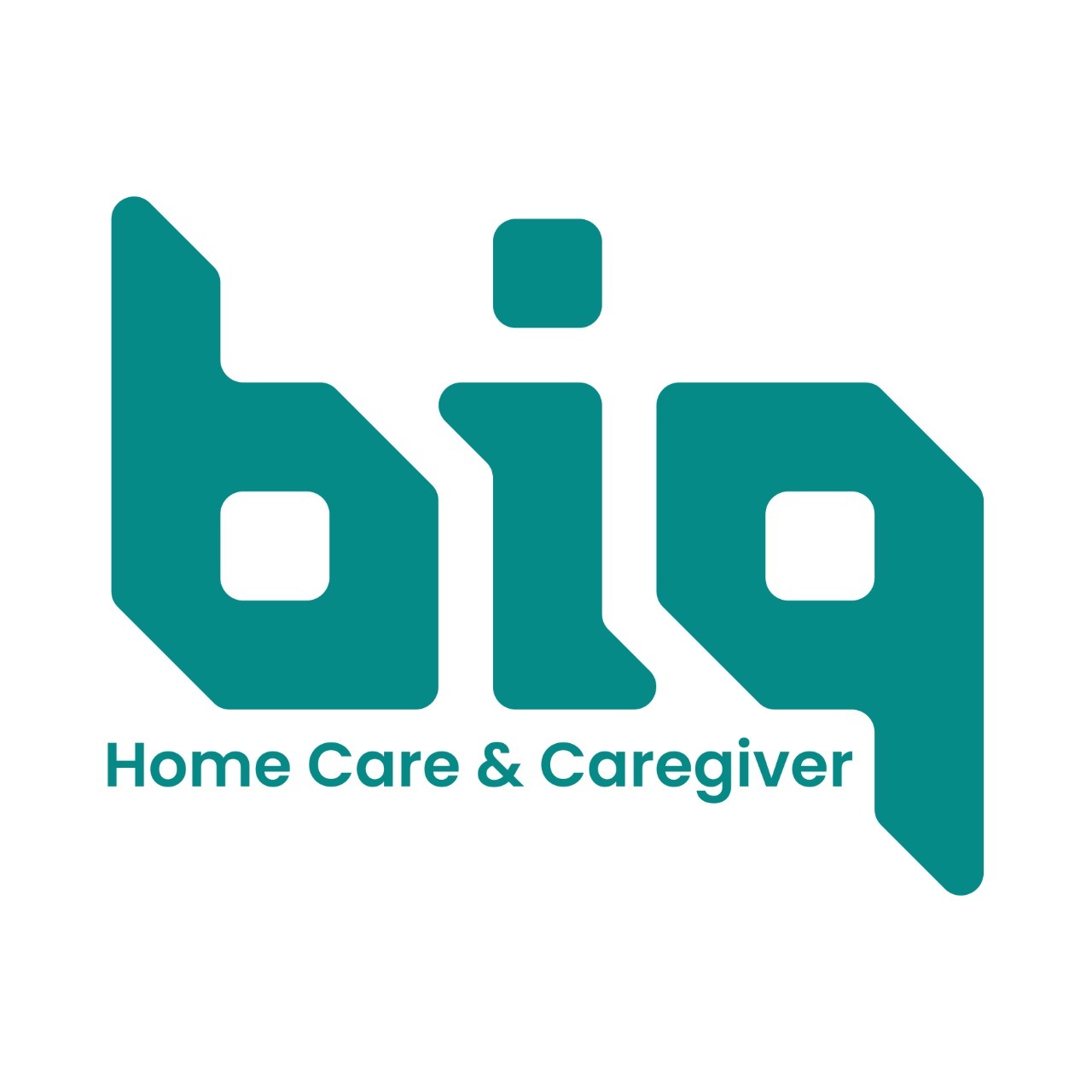 Logo PT BIG Home Care