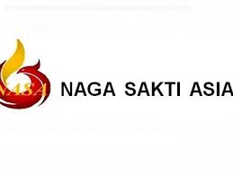 Logo PT NAGA SAKTI ASIA