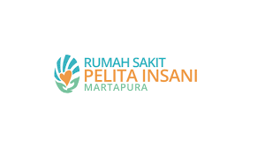 Logo RS. PELITA INSANI 